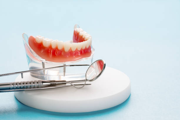 Best Full Mouth Reconstruction  in Rockwood, TN